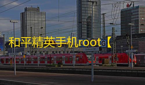 和平精英手机root【怡宝内核】科技
