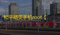 和平精英手机root【404内核】科技