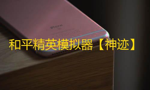 和平精英模拟器【神迹】辅助
