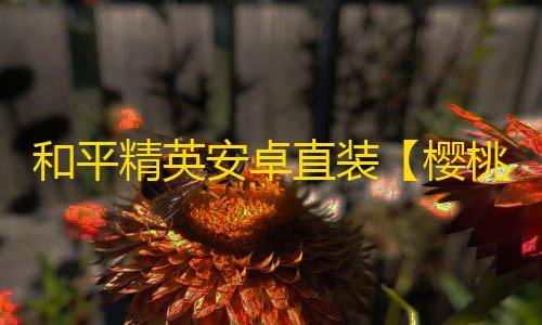和平精英安卓直装【樱桃直装】辅助