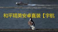 和平精英安卓直装【宇航员直装】辅助