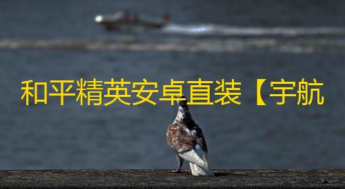和平精英安卓直装【宇航员直装】辅助